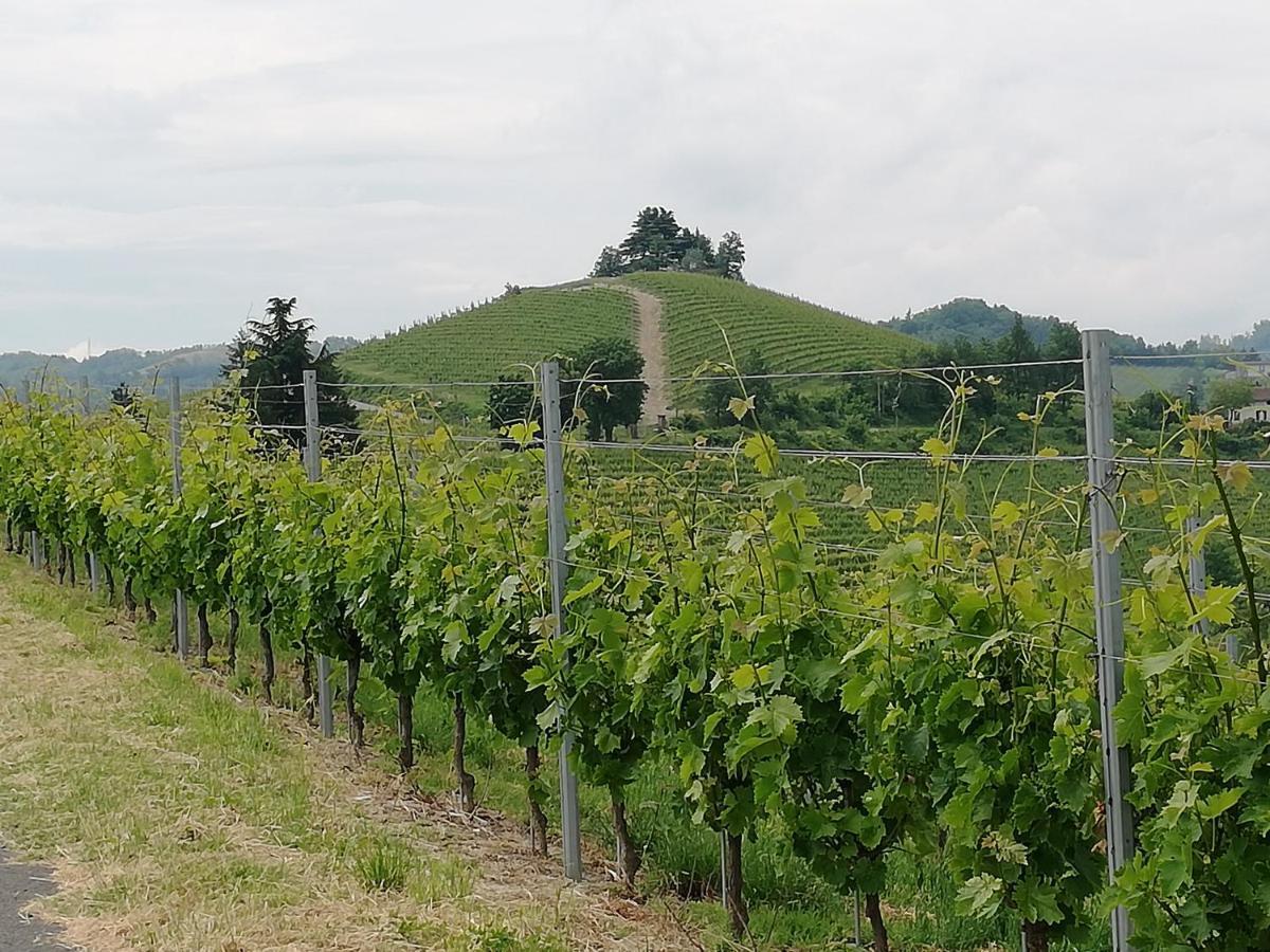 La Giribaldina Winery & Farmhouse Calamandrana Εξωτερικό φωτογραφία