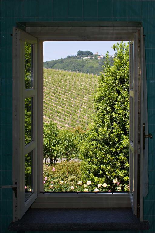La Giribaldina Winery & Farmhouse Calamandrana Δωμάτιο φωτογραφία